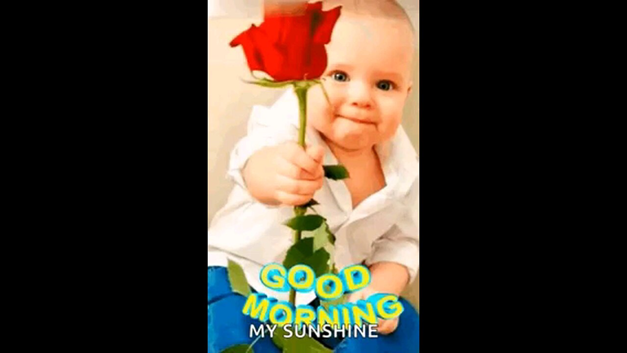 Good morning