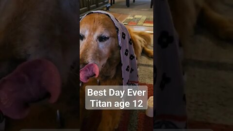 Best Day Eve, Titan Age 12 #best #life #goldenretriever