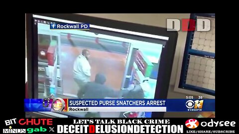 77 year-old elderly white female violently attacked by black suspects inside store