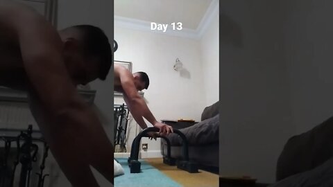 Day 13 - Learning How To Do Handstand Push Ups