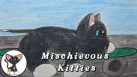 Mr. Fluffles on a Skateboard