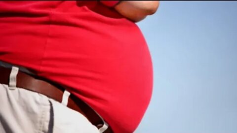 Obesity Causes Climate Change