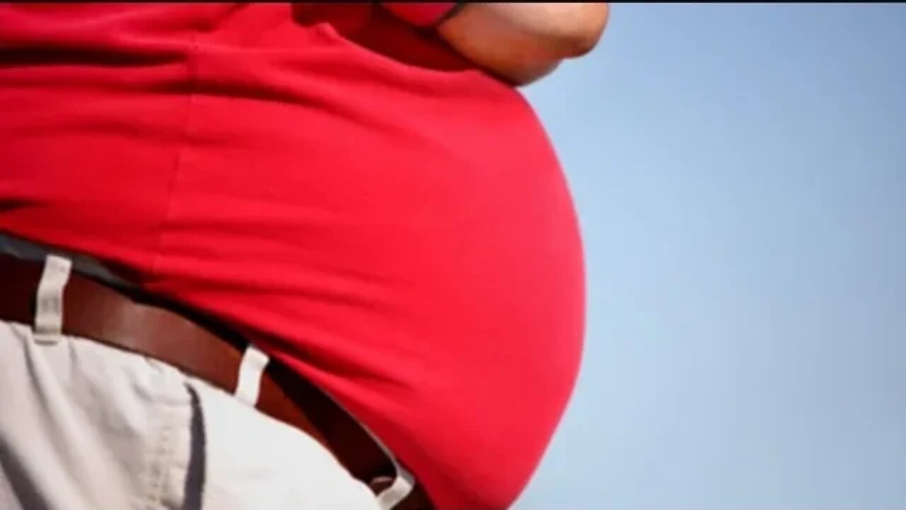 Obesity Causes Climate Change