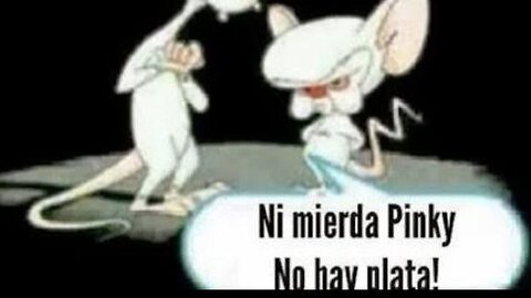 LICENCIADOS RATAS SEJO/SR JODIERON