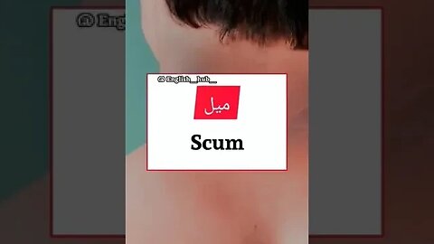 daily use english words
