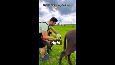 Nutella dog poop prank💀🤣