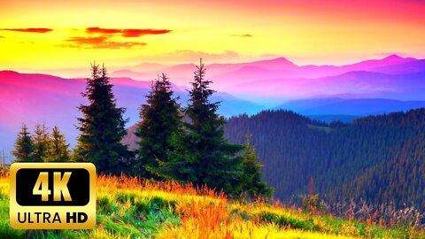 Beautiful Relaxing Music • Calm Music for Studying • Relaxing Nature Music