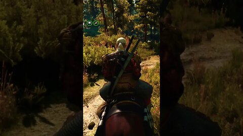The Witcher 3 - Next Gen | Gameplay Playthrough | FHD 60FPS PS5 | No Commentary | SHORTS |