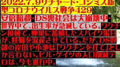 2022.07.09 リチャード・コシミズ新型コロナウイルス戦争４２９