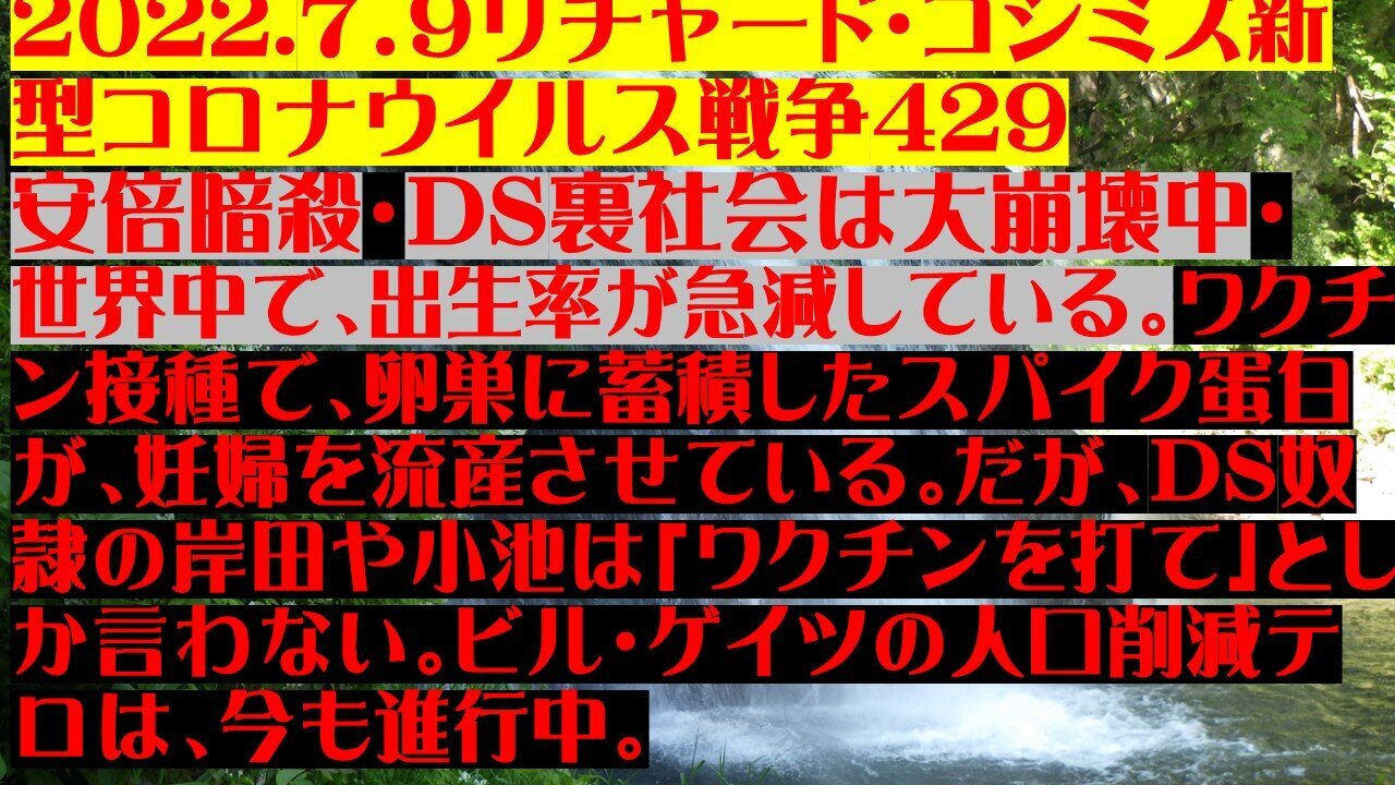 2022.07.09 リチャード・コシミズ新型コロナウイルス戦争429
