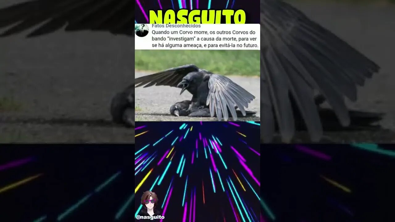 Memes em imagens - ELE É PERFEITO #shorts