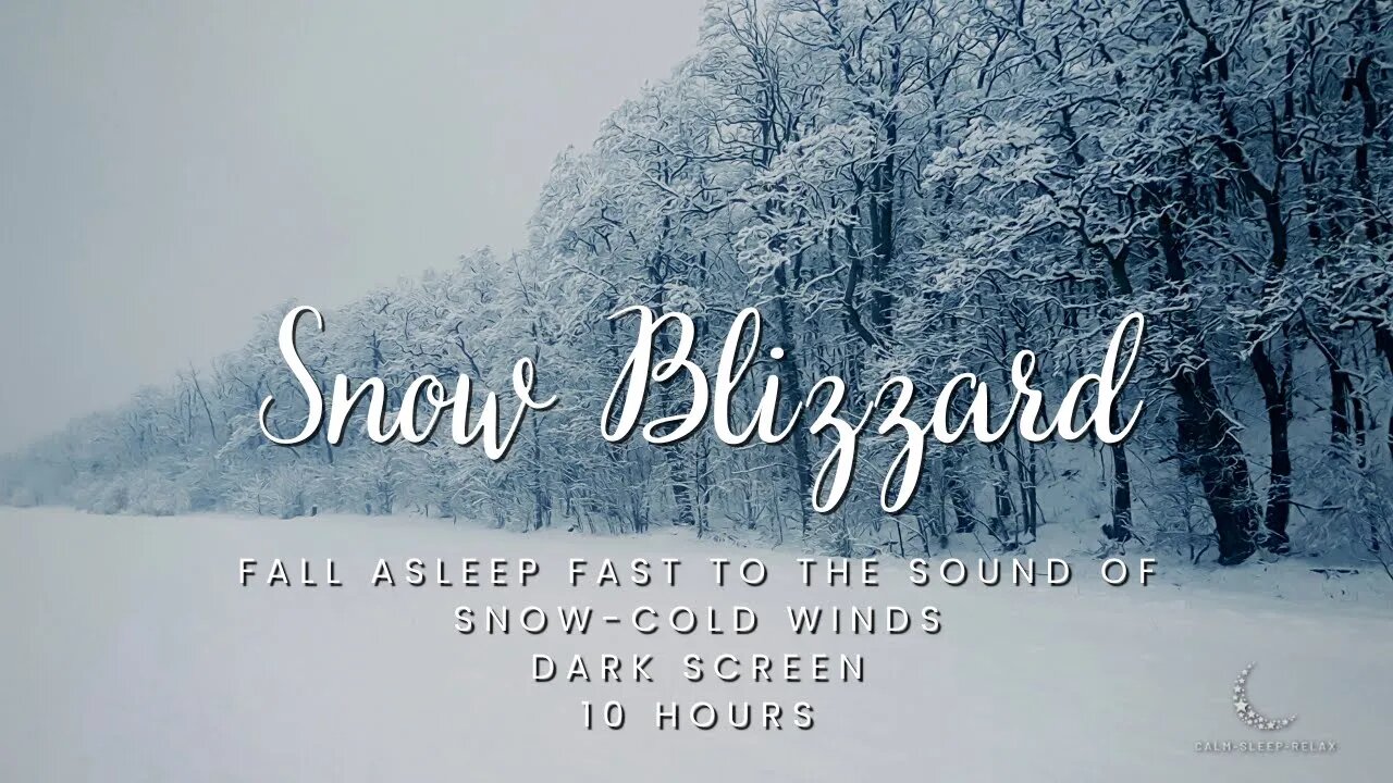๐ด Fall Asleep Fast ๐ด - Snow Blizzard Winds - White Noise - Dark Screen - 10 Hours