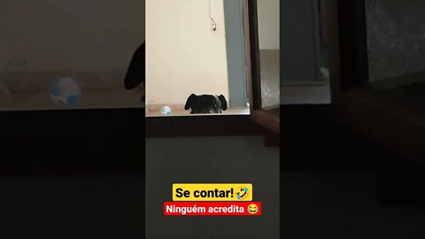 se contar ninguém acredita 😂 #shorts