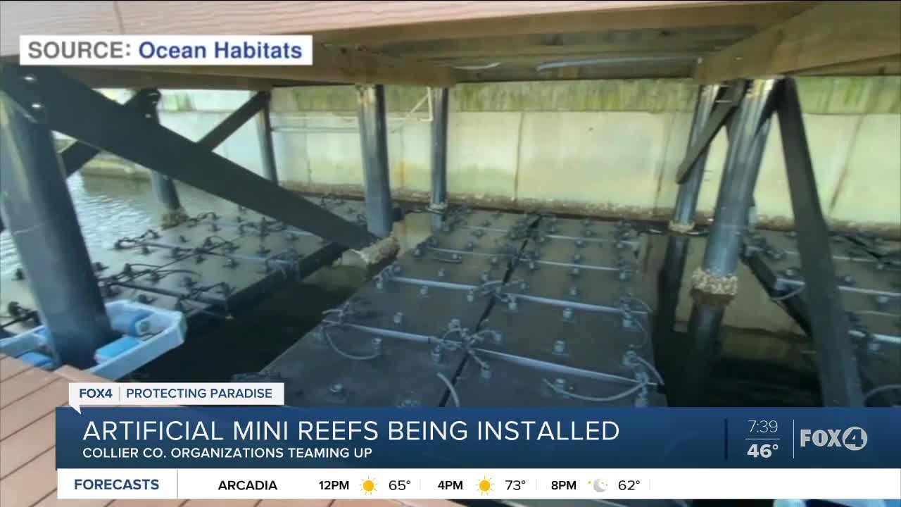 Mini reef installations in Collier County