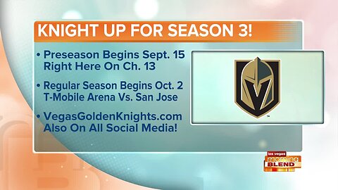 VGK ANNOUNCER DAVE GOUCHER