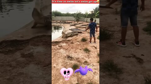Let's swim get up 😖😣🤯🔥 #shorts #crocodiles #viral