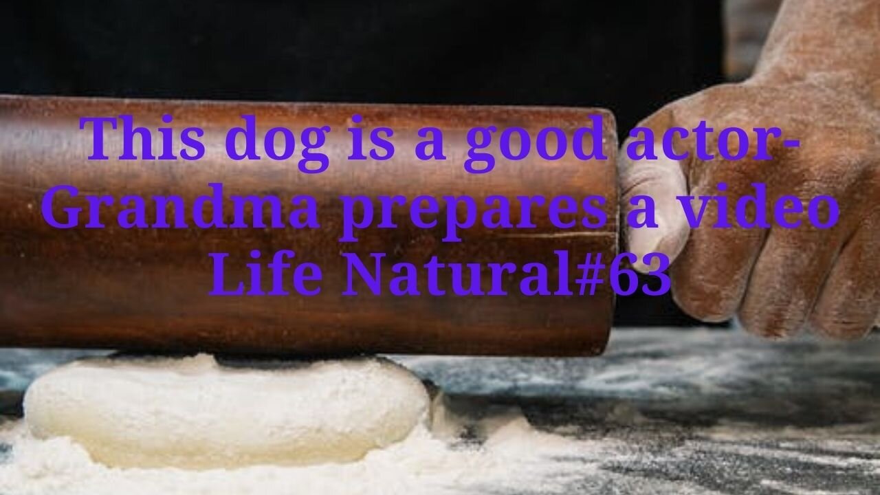 This dog is a good actor-Grandma prepares a video Life Natural#63