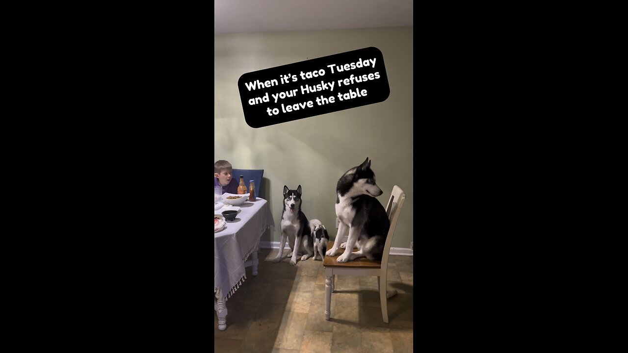 Everyone wants a TACO!