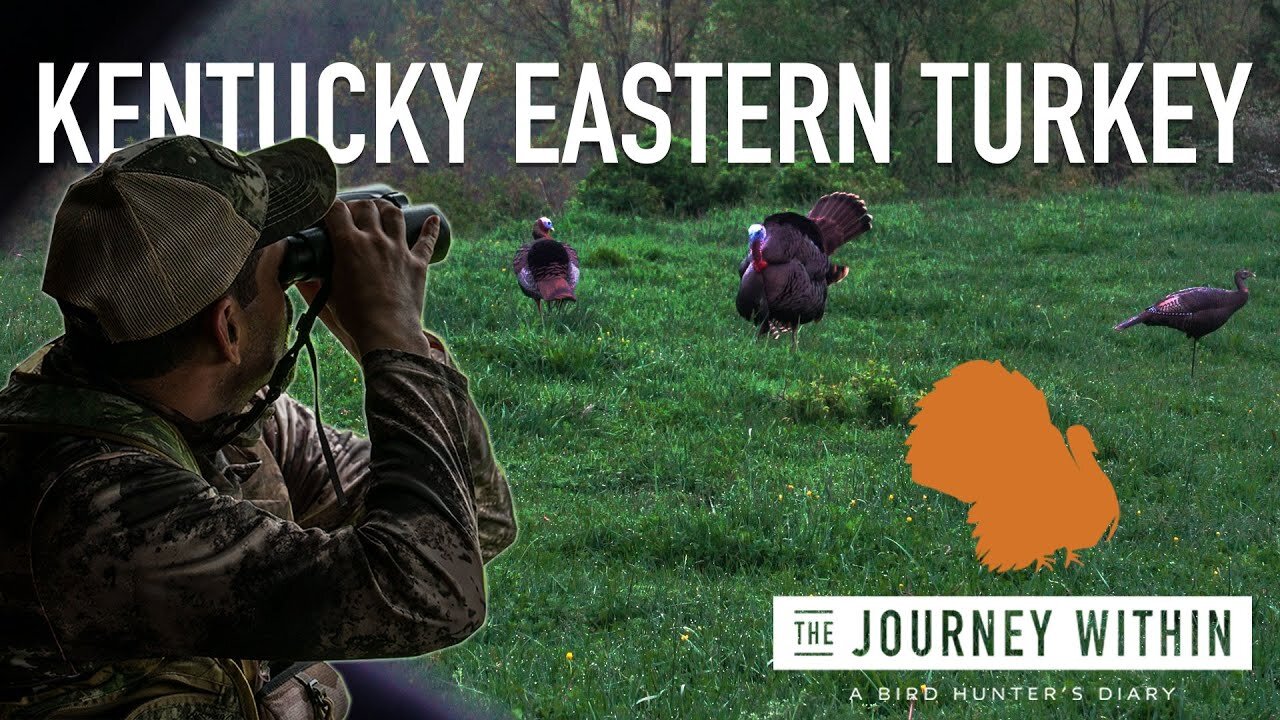 Kentucky Eastern Turkey Hunt: The Journey Within - A Bird Hunter's Diary | Mark V Peterson Hunting