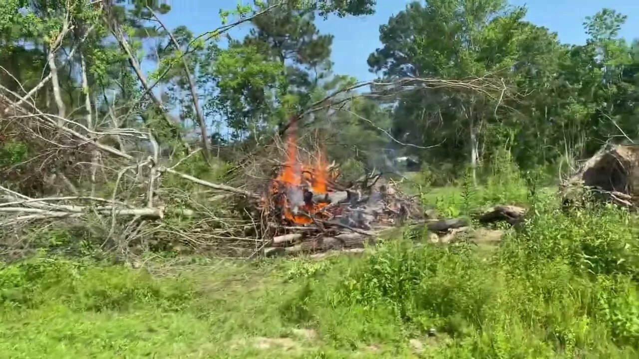 July 9 2022 update on clearing the land