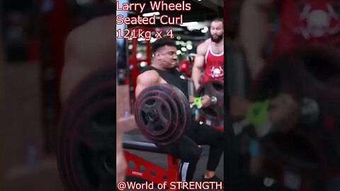 Larry Wheels Crazy Biceps Training