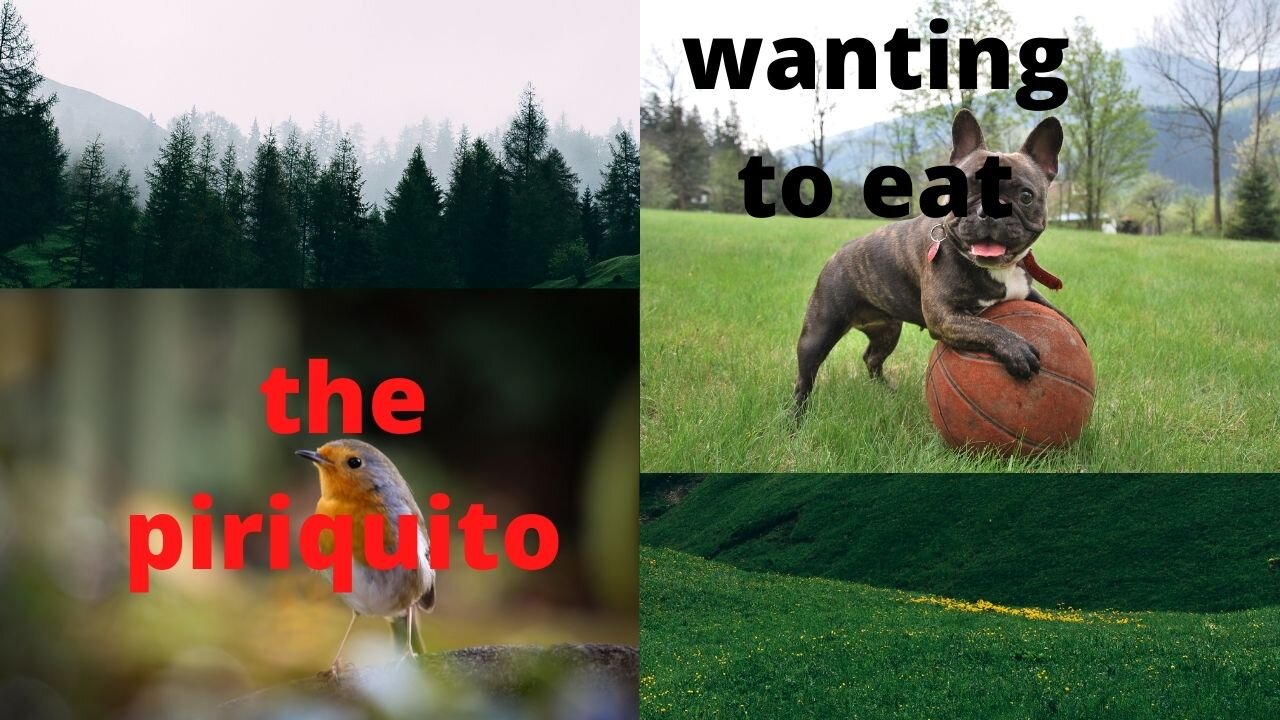wanting the piriquito