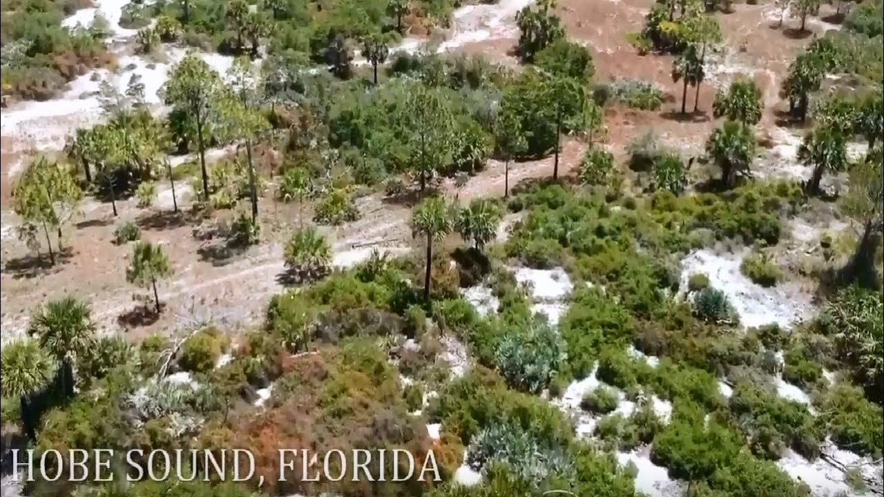 Hobe Sound, Florida Drone Footage