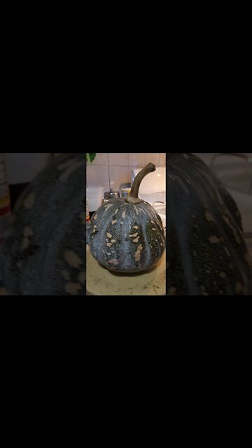 I added this to Boiling Calico Lady Crabs!🍈🦀🦀🦀🦀🦀