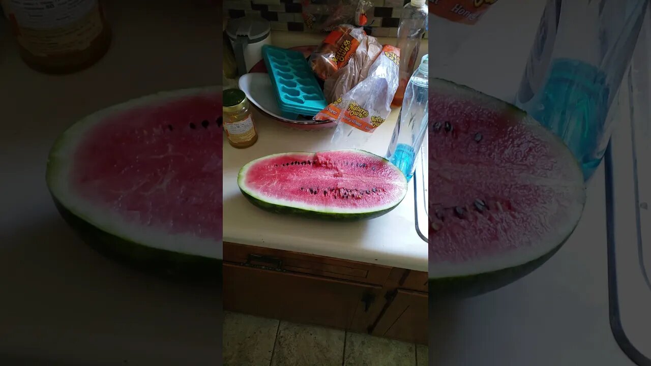 Watermelon grown by accident.