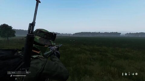 DayZ bear hunt/friendly fire