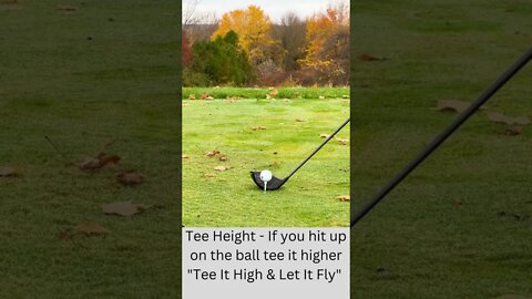 Understanding your tee height is important for consistent ball striking ! #shorts #subscribe #fun