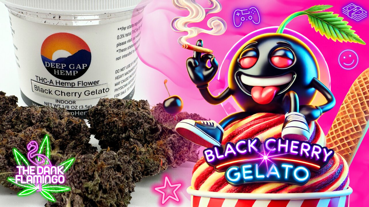 Trying Black Cherry Gelato THCa from Deep Gap Hemp! The Dank Flamingo Cannabis Review!!