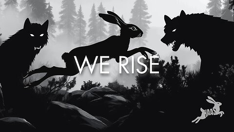 WE RISE | HAAS.WIRE | MUSIC