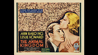 The Animal Kingdom (1932) | Directed by Edward H. Griffith - Full Movie