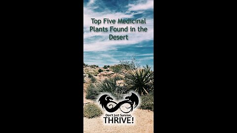 Top Five Medicinal Plants Found in the Desert 