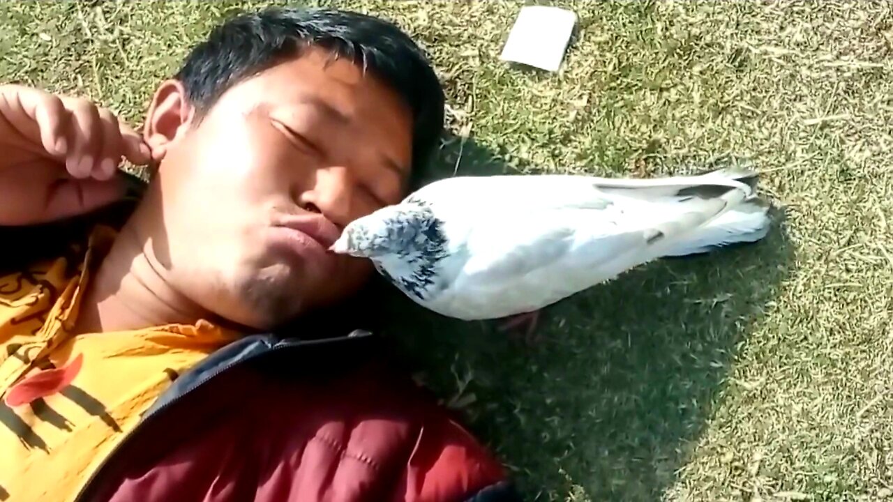 People who love Nepal's animals and birds