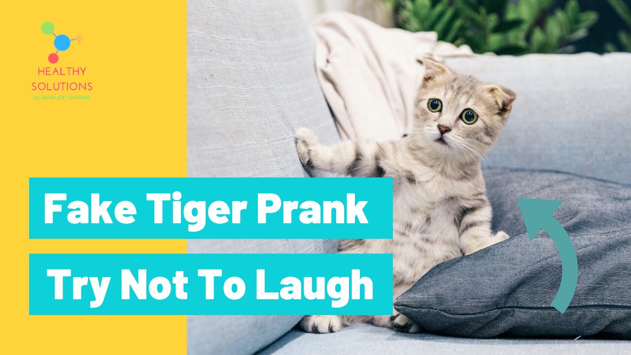 Wow Must Watch! Fake Tiger Prank Dog So Funny Comedy Video 2021