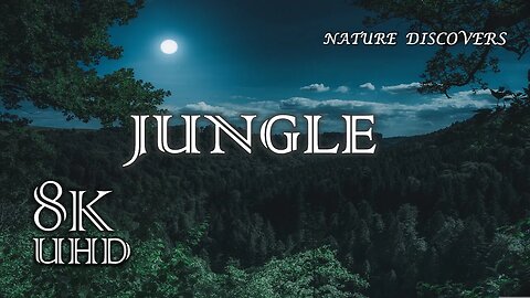 Jungle Discovery || Relaxing Music ♬🎶|| Stress reduces Music ♬🎶 || Beautiful Nature 8K UHD Quality