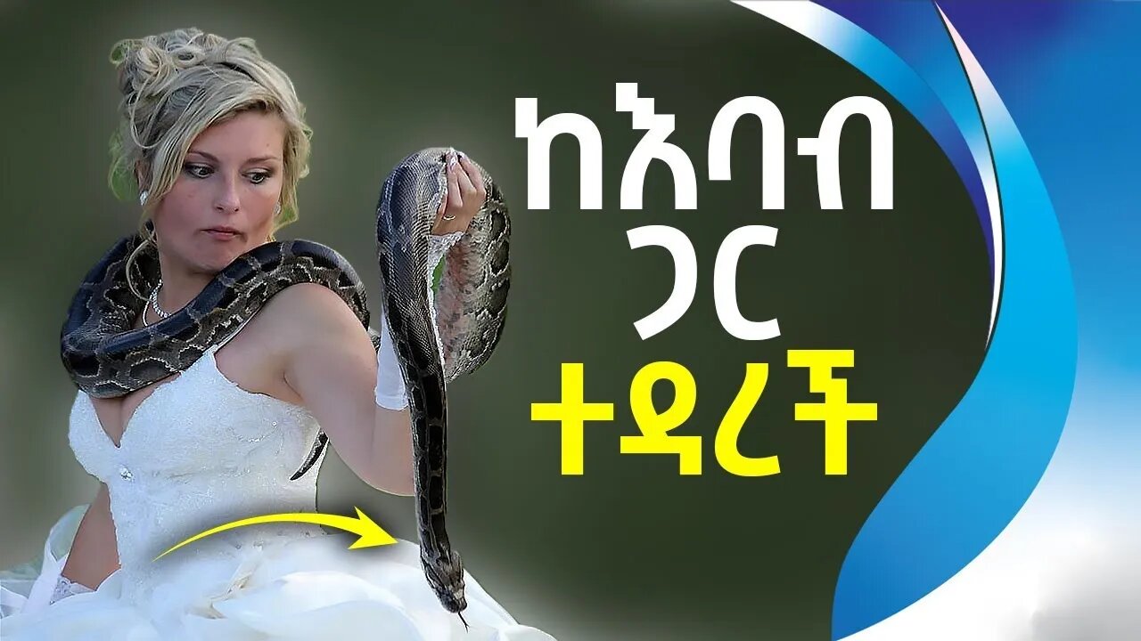 ከእባብ ጋር ተዳረች | Woman Sleeps With Snake Every Night | Cobra | Snake