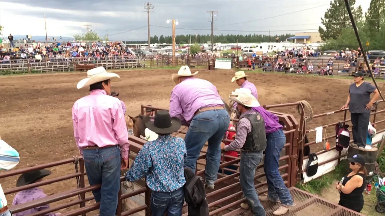 Brash Rodeo