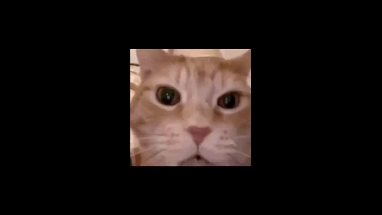 hahaahah🤣🥵😂