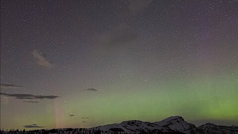 Live Aurora Cam | Alberta, Canada