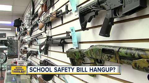 Florida House passes school safety bill, sending it to Governor Scott's desk