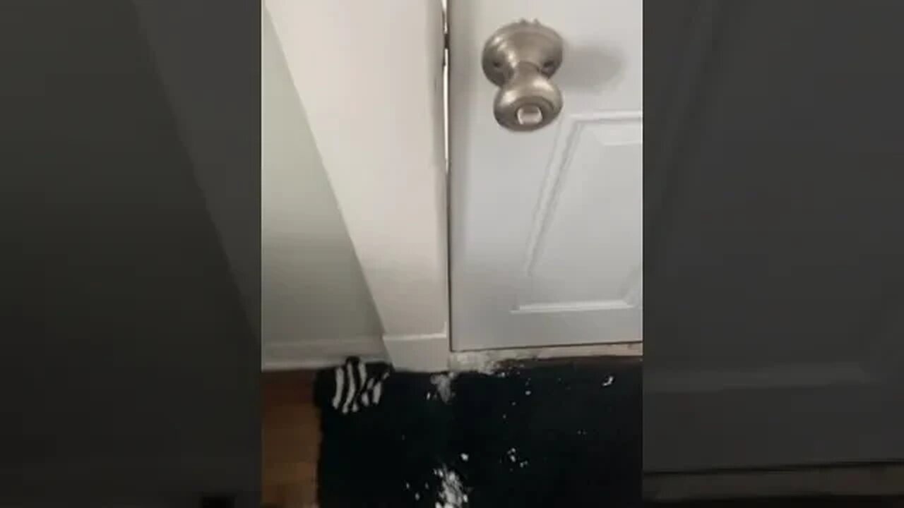 New York in danger #shorts