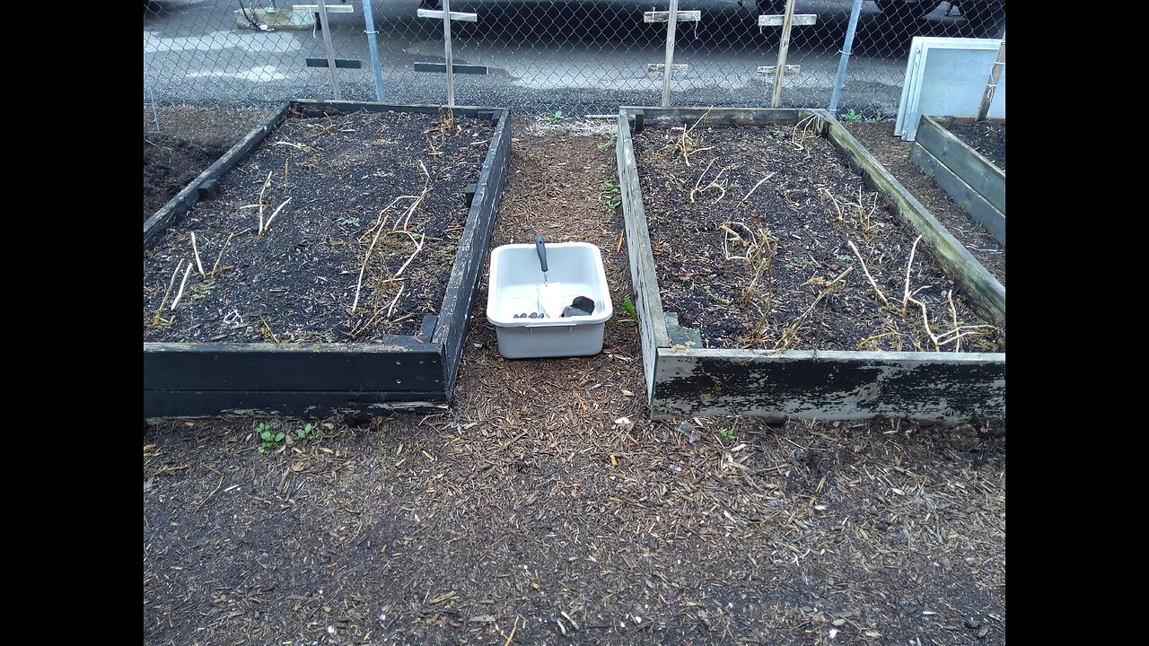 Harvesting Fall Seed Potatoes 9/25/24