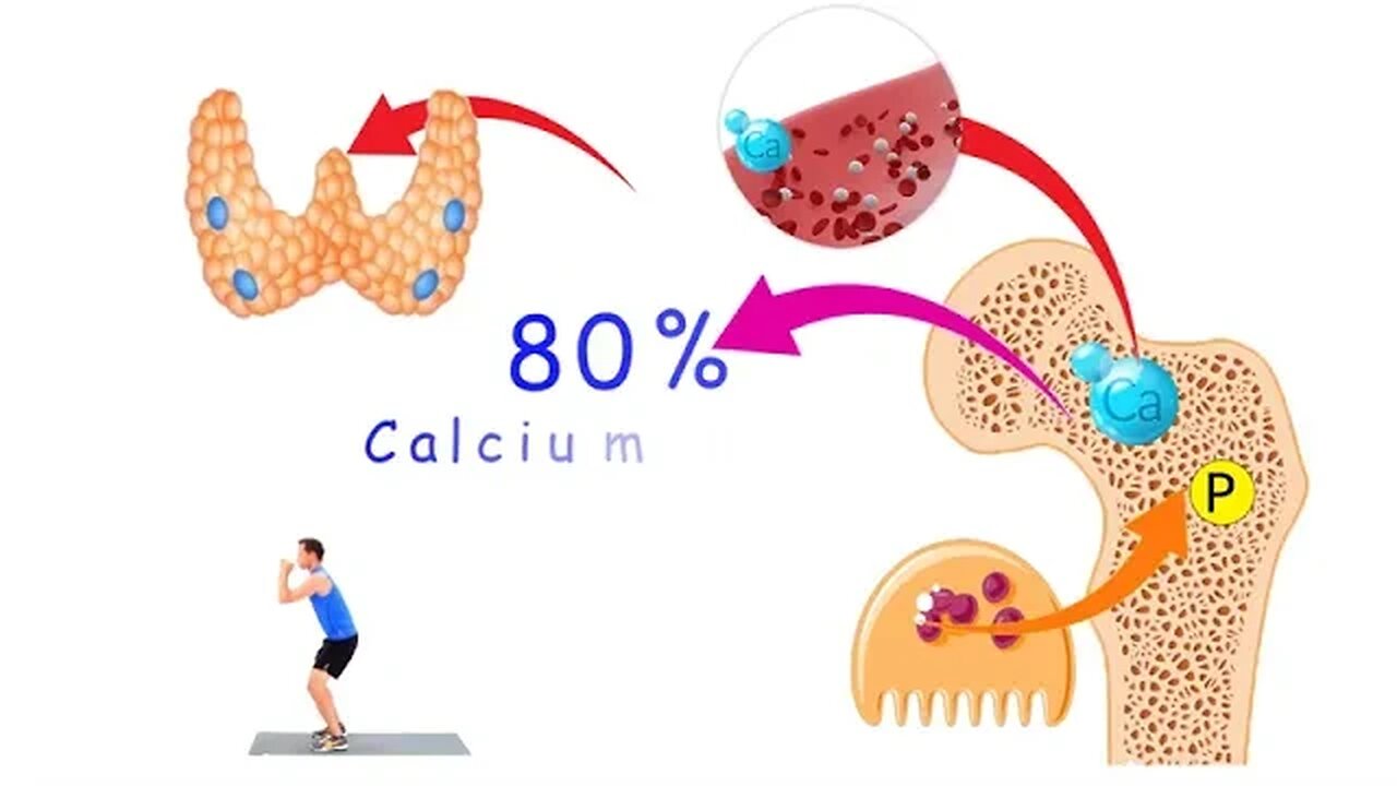 DOES ALL EXERCISE BENEFIT BONE HEALTH? PARATHYROID HORMONE EXPLAINED! CALCITONIN EXPLAINED!