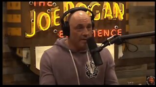 Joe Rogan: Wokeness Means Straight White Men Are Not Allowed to Talk