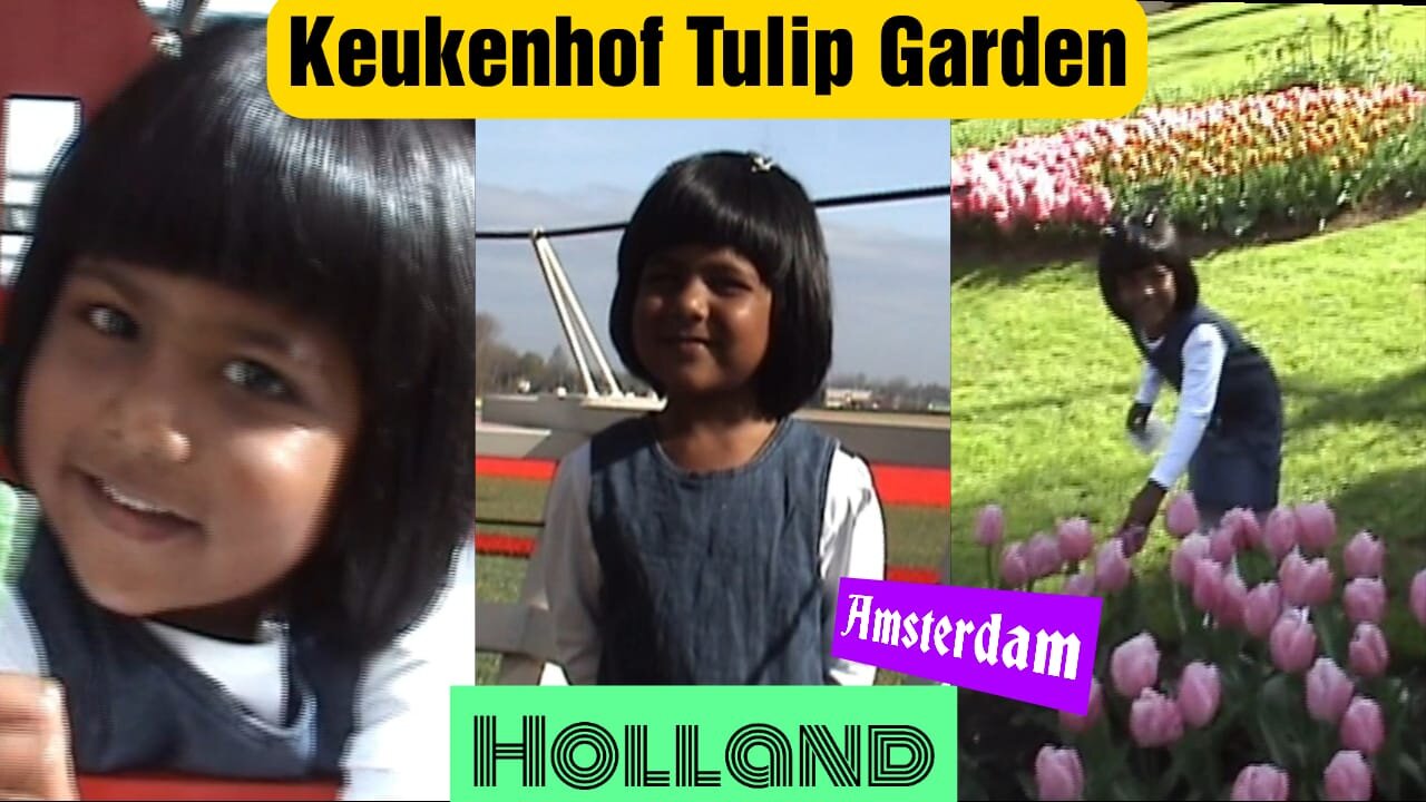 Keukenhof Tulip Garden, Holland