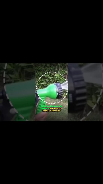 mangueira qui ispandi no jardim