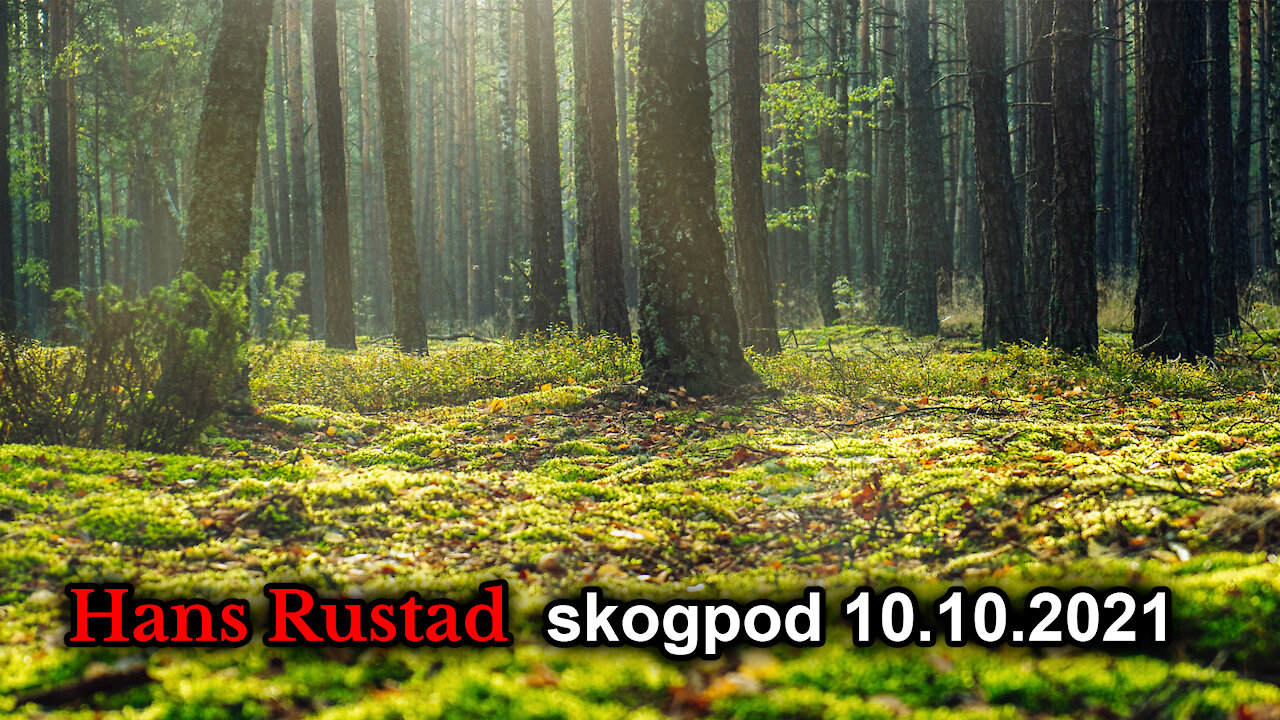 Skogpod 10. oktober: Documents lesere er Trump-land